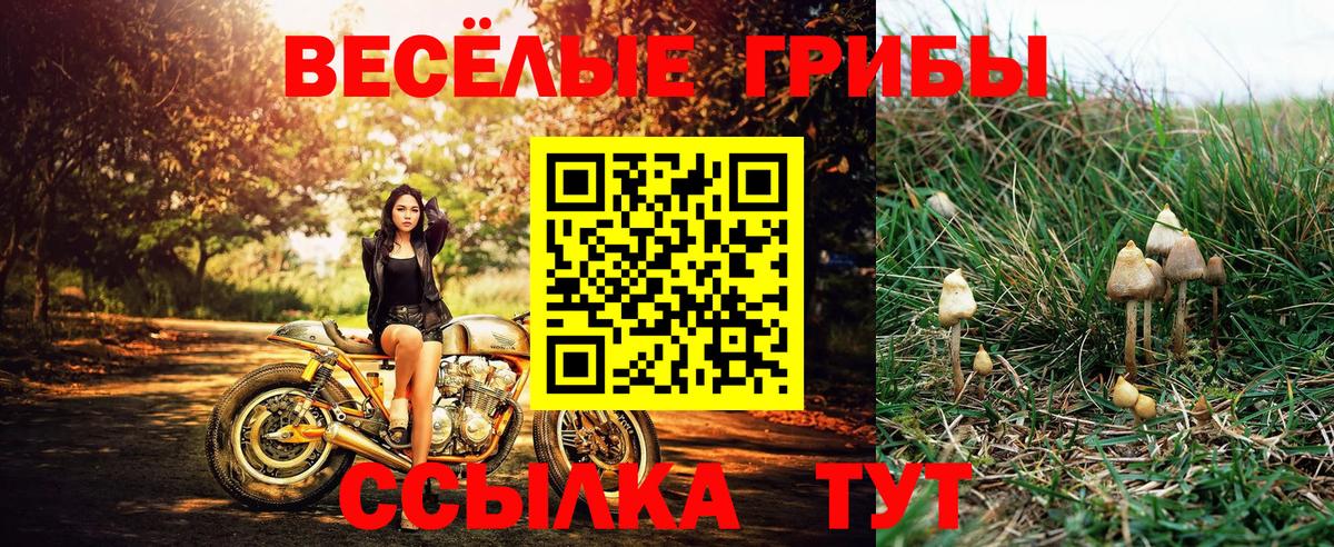 Галлюциногенные грибы GOLDEN TEACHER Арзамас