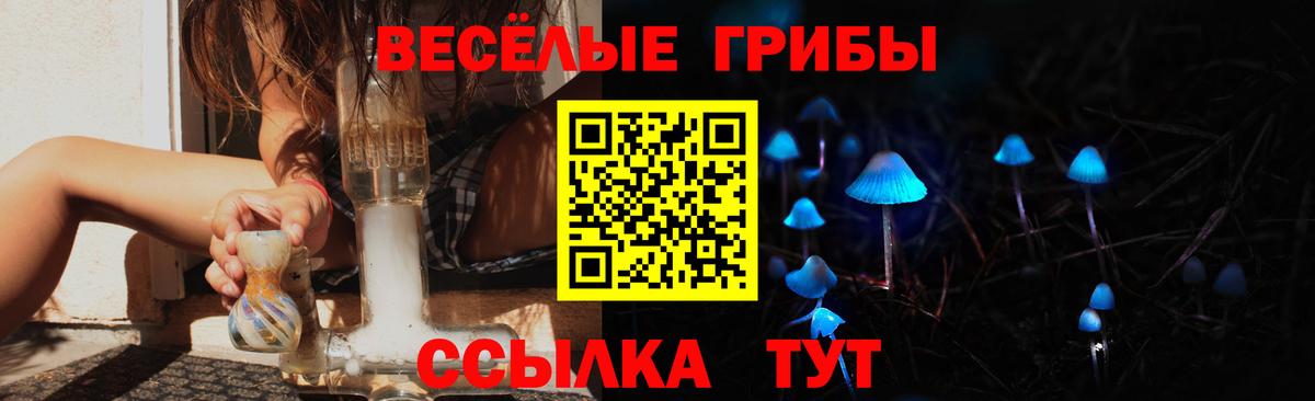 Псилоцибиновые грибы Psilocybe  Псилоцибиновые грибы прущие грибы  Вход с VPN  Арзамас 